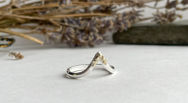 Exaggerated wishbone ft gold